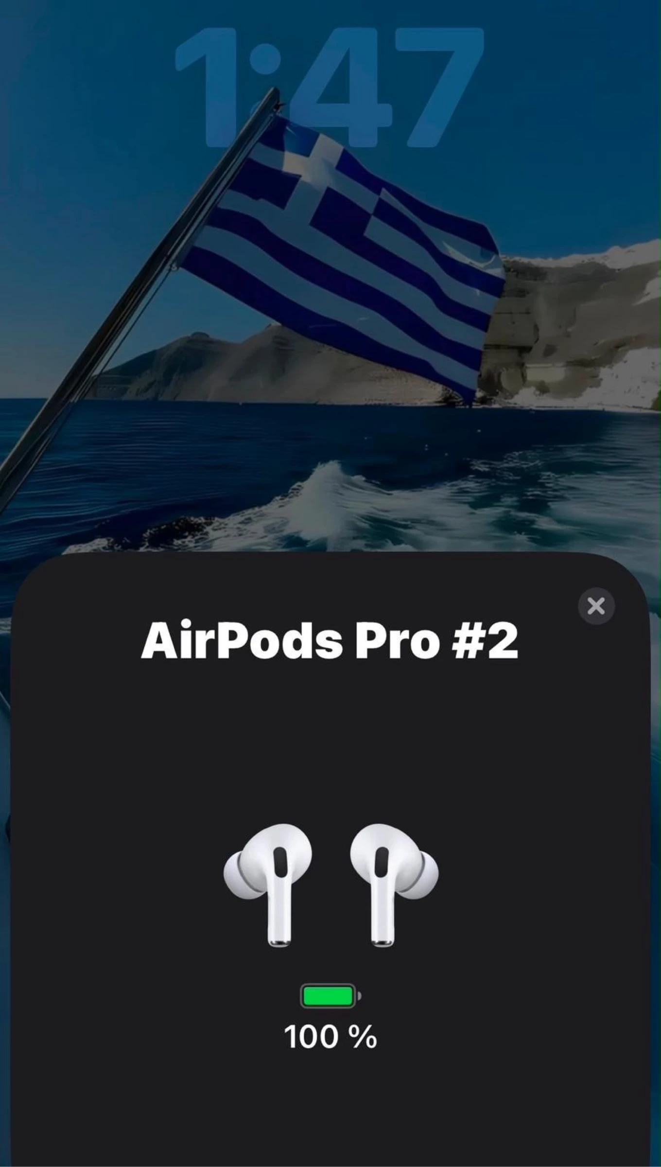 Air Pods Pro – photo 5